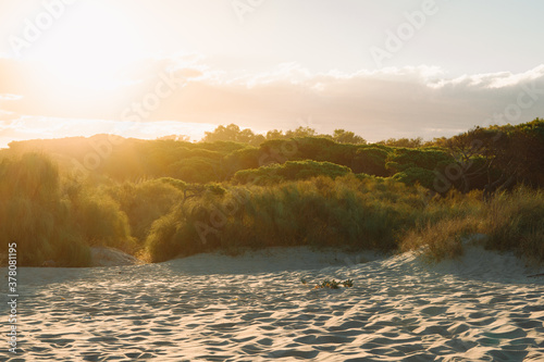 Desert dunes at sunset in Islantilla, Huelva.
