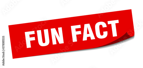 fun fact sticker. square isolated label sign. peeler