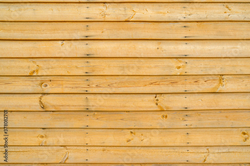 old tree texture for the background. Yellow wooden planks with nail marks