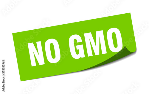 no gmo sticker. square isolated label sign. peeler