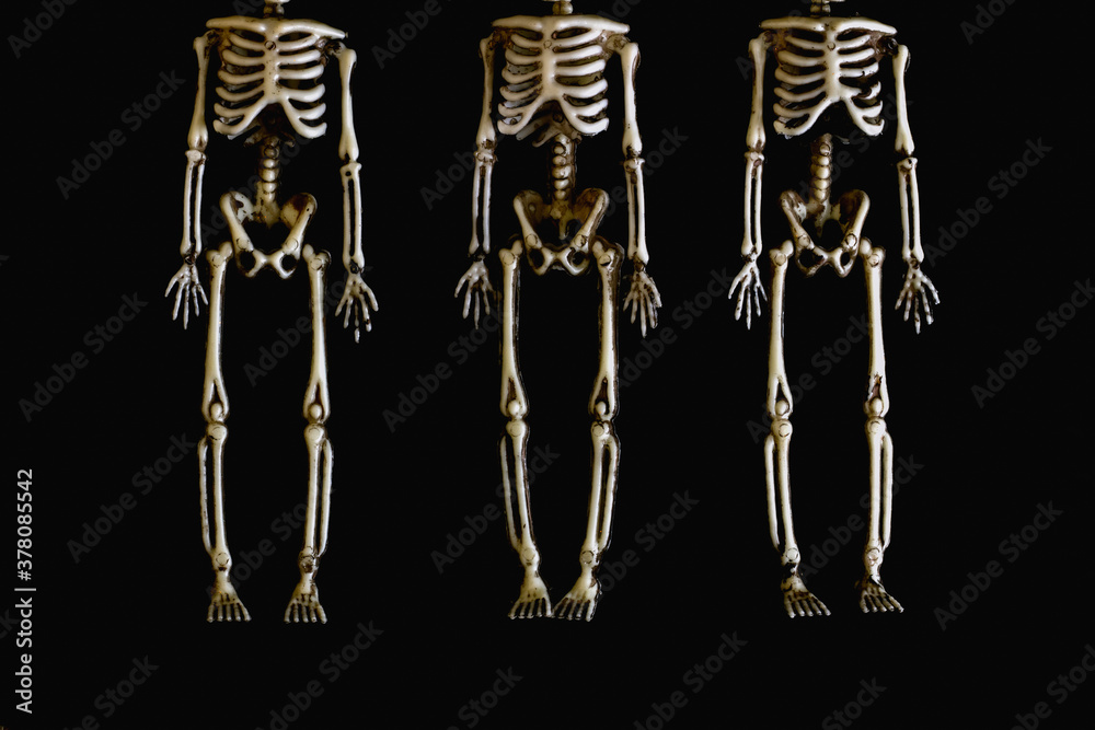 Headless skeletons hang on a black background. Halloween concept, horror, gothic. Postcard. Copy space Headless skeletons hang on a black background. Halloween concept, horror, gothic. Postcard. Copy space