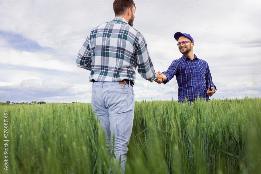 Fototapeta premium Two farmers making agreement with handshake in green wheat field.