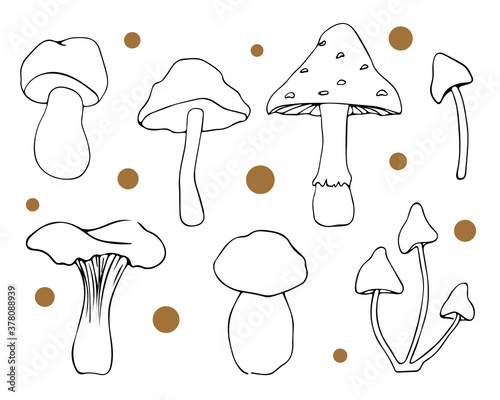 Autumn vector Set  with different mushrooms like a fly agaric, toadstool, chanterelle, boletus in doodle style. Black and white contour elements of Fall atmosphere. Botanical illustrations.