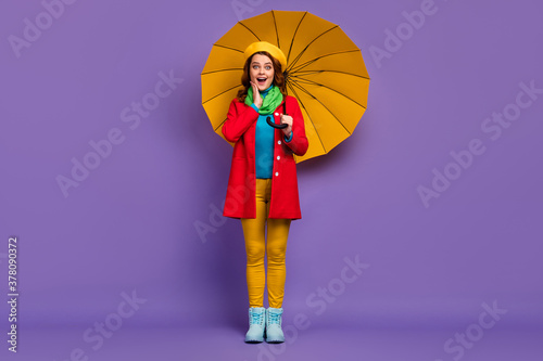 Full length body size view of nice attractive lovely pretty cheerful cheery amazed wavy-haired girl holding umbrella omg great news reaction isolated on violet lilac purple pastel color background