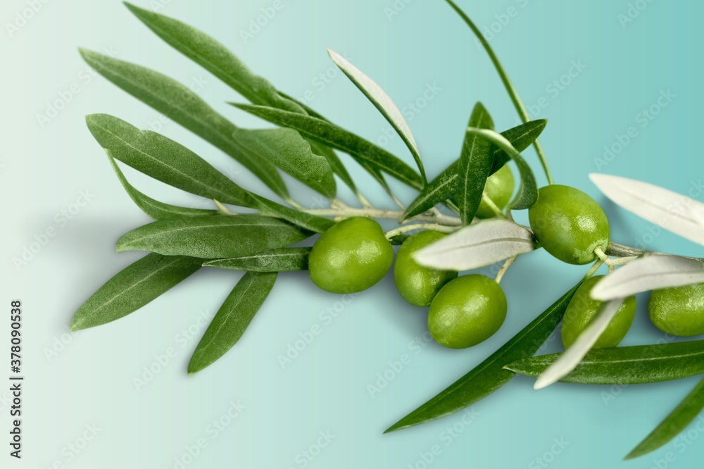 Olive. Olive.