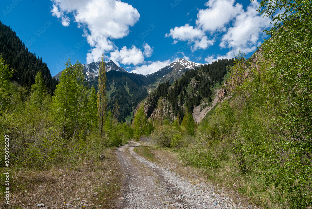 Naklejka premium mountain road in the mountains