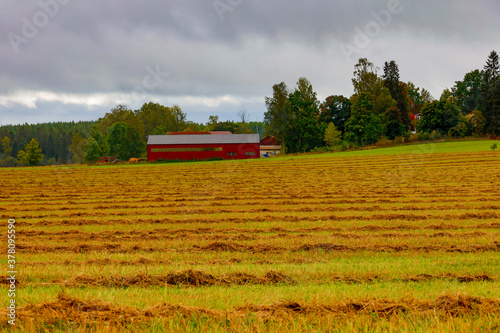 Frykerud, Sweden Hay fields in the provinve of Varmland photo