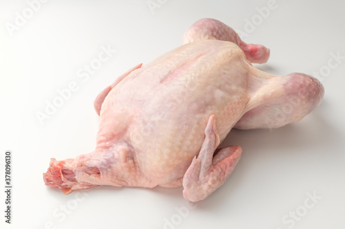 Trimmed raw chicken on a white background