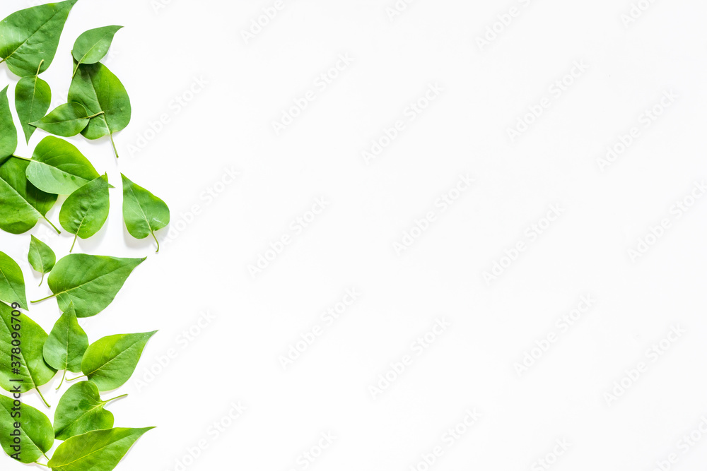 Natura layout of green tree leaves, concept, top view, flat lay