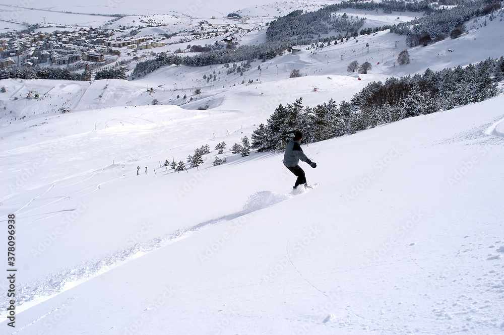snowboard snowboard