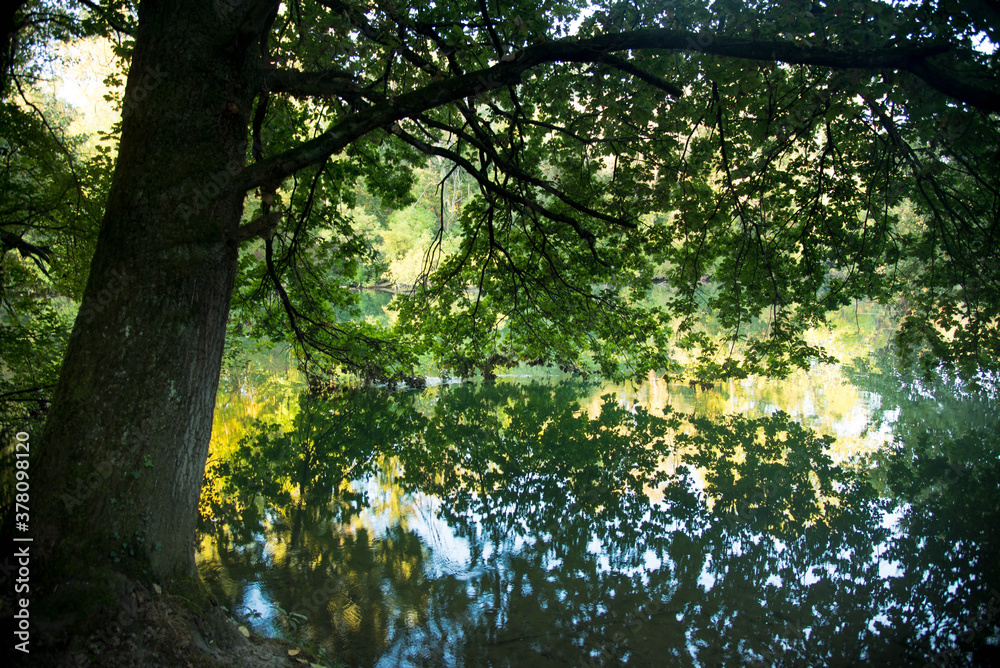 Fototapeta premium Frühherbst im Naturschutzgebiet Taubergiessen in der Ortenau in Deutschland
