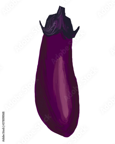 ナス　Eggplant