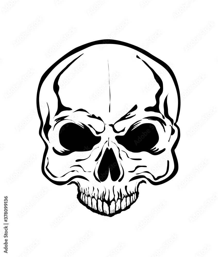 Fototapeta premium skull