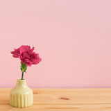 Pink spray carnation flower in vase on wooden table with pink background. floral arrangement, copy space
