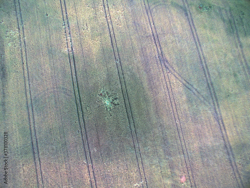 acker landwirtshcat feld mit drohne luftbild wildschaden wildschweine photo