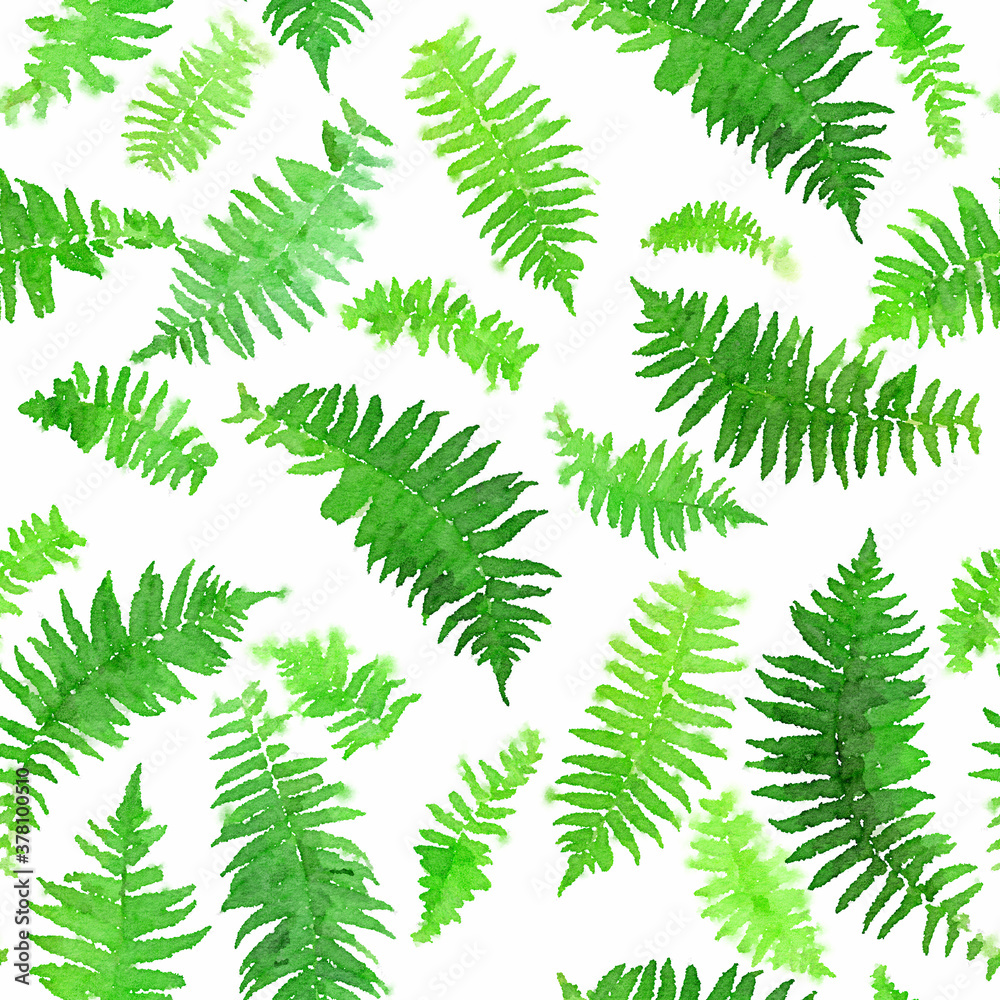 Watercolor seamless pattern of fern leaves. Botanic seamless background. Hand drawn green leaves