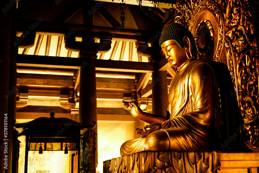 Fototapeta premium The Buddha.