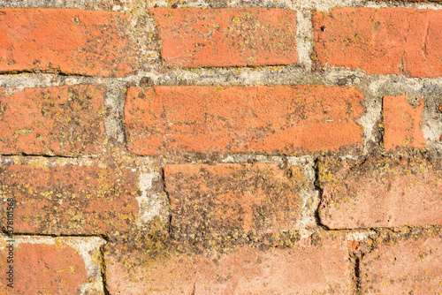 The quality of the brickwork and mortar from the wall of the Turkish-style fortress, built in the 18th century by Count M.F. Kamenskikh. 