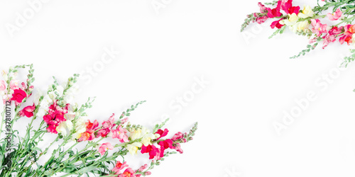 Beautiful flowers composition. Frame made of colored flowers on white background. Flat lay, top view, copy space