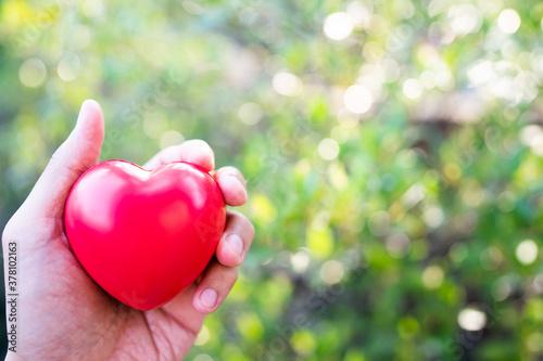 Hand holding red heart with copy space.Concept of Love and Health care family insurance.World heart day  World health day.Valentine s day.Shape of heart on beautiful green light bokeh background.