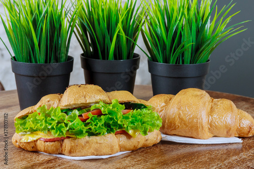 Fresh croissant with ham and salad leaf with sfresh salad on white. photo