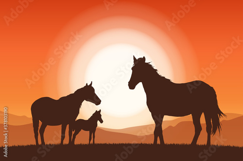 Vector illustration  Landscape with sunset and silhouette of family horses.