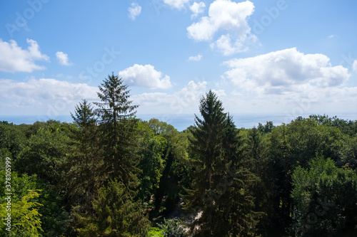 Landscape view of forest and sky with white clouds