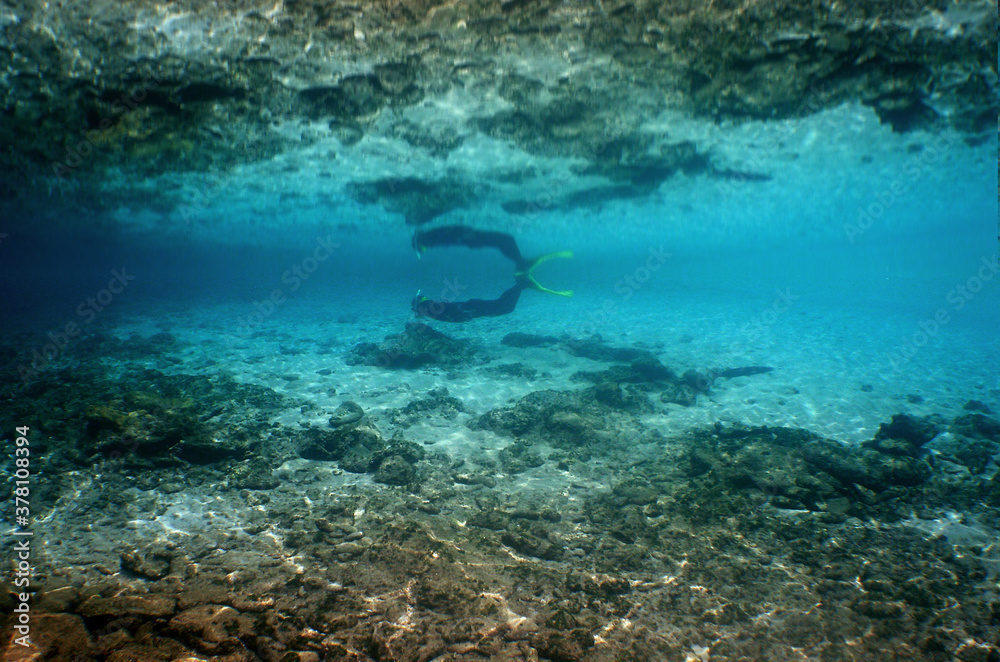 Fototapeta premium underwater snorkel scuba diver caribbean sea Venezuela