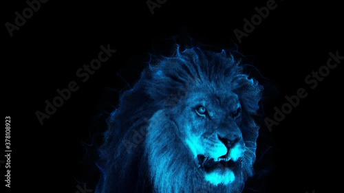 Ghost Lion Roars  photo
