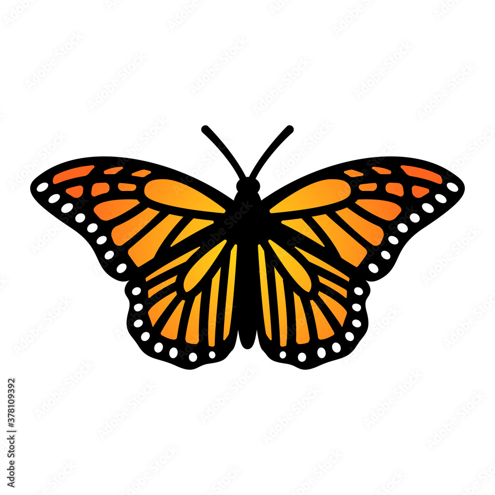 Fototapeta premium Monarch butterfly design. Symmetrical Monarch butterfly illustration. Vector.