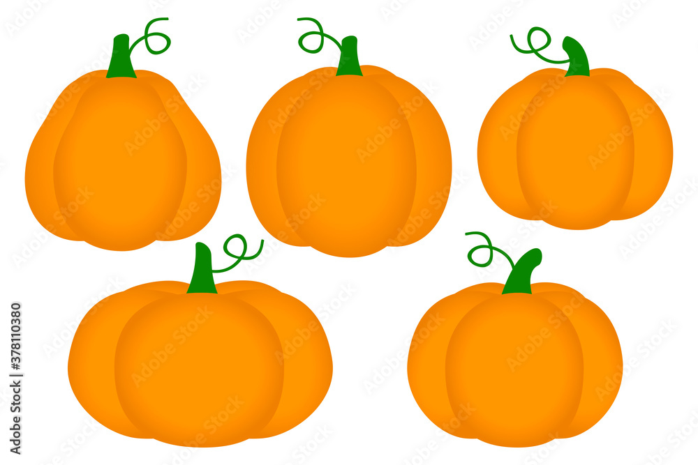 Set of ripe pumpkins isolated on white - vector pumpkins for autumn and Halloween design Set of ripe pumpkins isolated on white - vector pumpkins for autumn and Halloween design