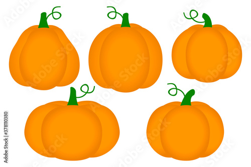Set of ripe pumpkins isolated on white - vector pumpkins for autumn and Halloween design