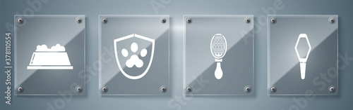 Set Pets vial medical, Hair brush for dog and cat, Animal health insurance and Pet food bowl. Square glass panels. Vector.