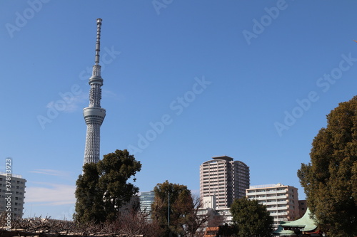 Wallpaper Mural 亀戸天神からスカイツリーを望む Torontodigital.ca