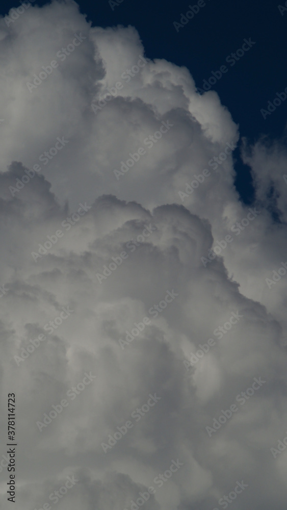 Cumulus au bourgeonnement prononcé