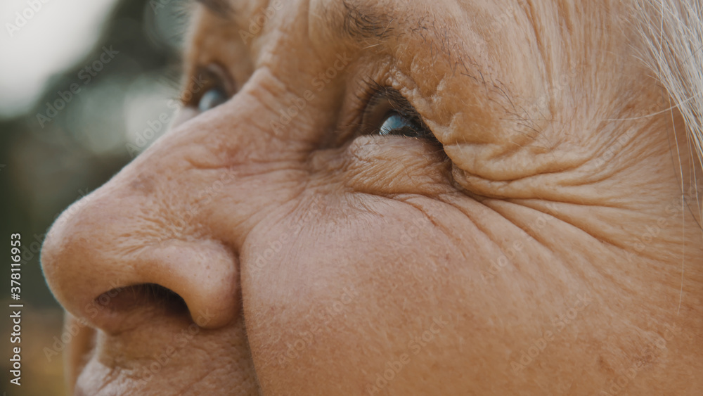 Close up, eyes of old woman in the park. looking up in the sky. High quality photo