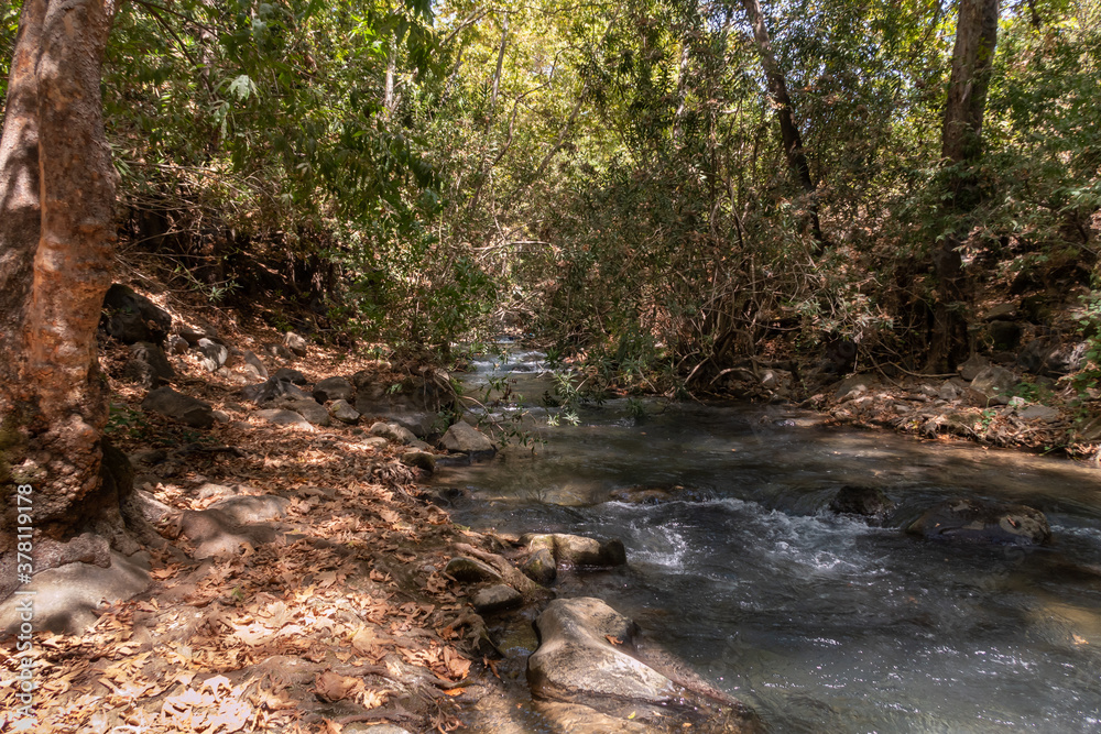 The bed of the swift mountainous Hermon River with crystal clear waters in the Golan Heights in northern Israel The bed of the swift mountainous Hermon River with crystal clear waters in the Golan Heights in northern Israel