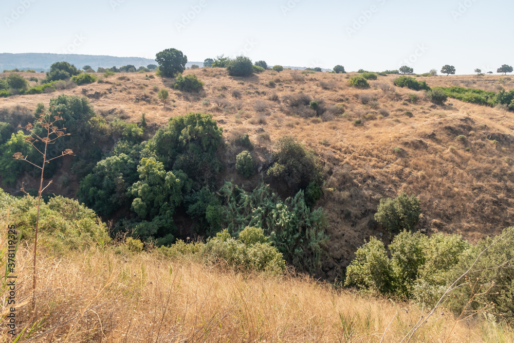 Nature near  the rapid mountain Hermon River in the Golan Heights in northern Israel