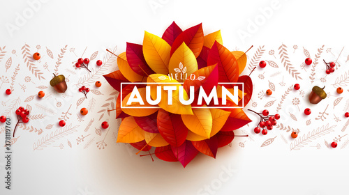 Hello Autumn poster and banner template with autumn colorful leaves and acorns.Greetings and presents for Autumn season.Promotion template for Autumn or fall concept.Vector illustration eps 10