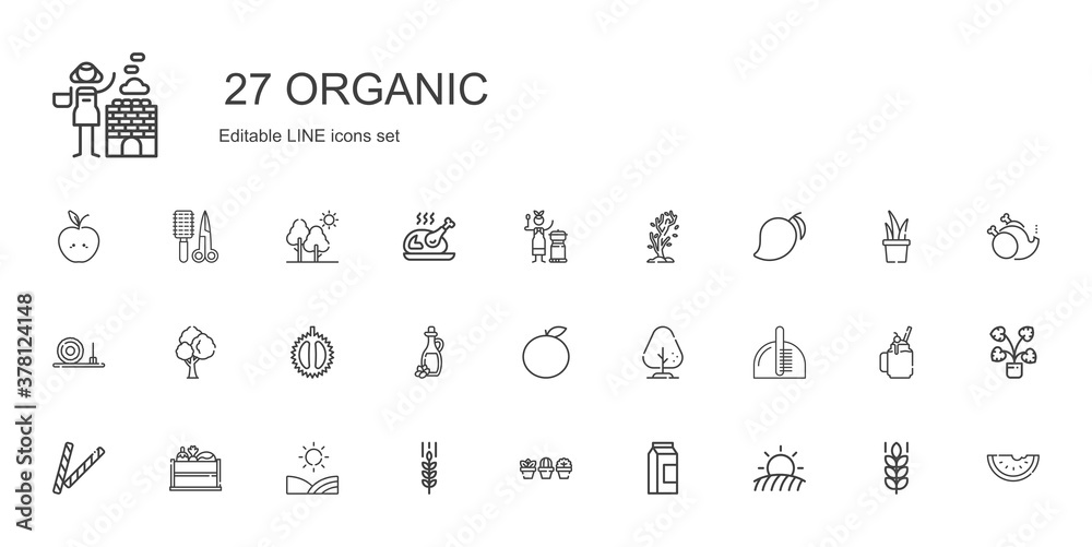 organic icons set organic icons set