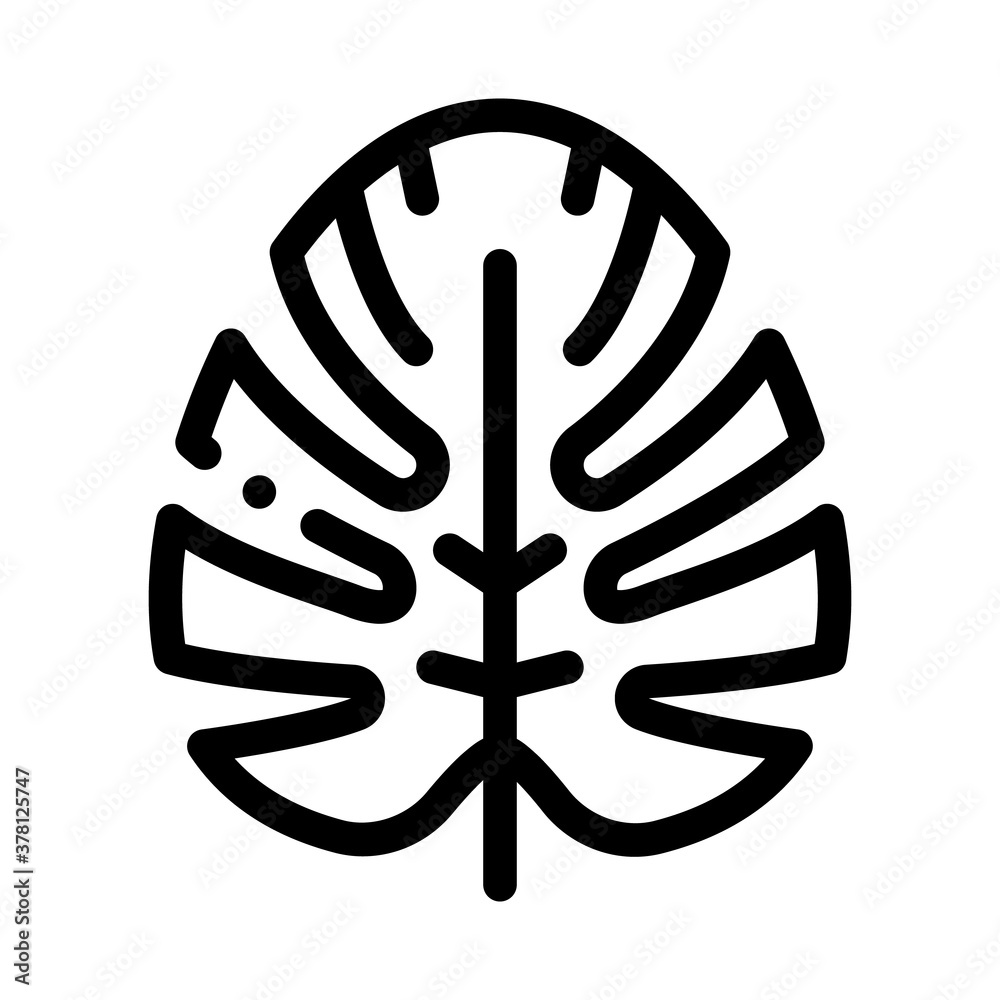 plant leaf icon vector. plant leaf sign. isolated contour symbol illustration plant leaf icon vector. plant leaf sign. isolated contour symbol illustration