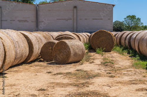 Circular straw bales stored next to the farm.