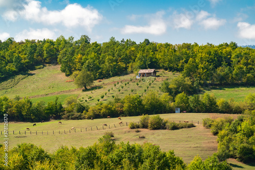 Wallpaper Mural House on the mountainside, farming Torontodigital.ca