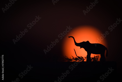 Canvas Print african silhouette