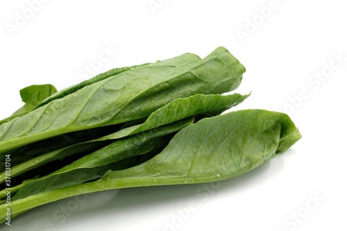 Fresh green kale leaves on white background