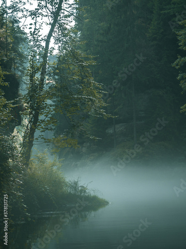 Edmundsklamm - Böhmische Schweiz - Neblige Schlucht mit Wasser - Nationalpark  photo