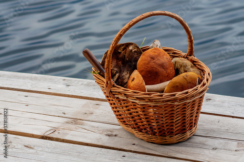 wicker basket with edible mushrooms