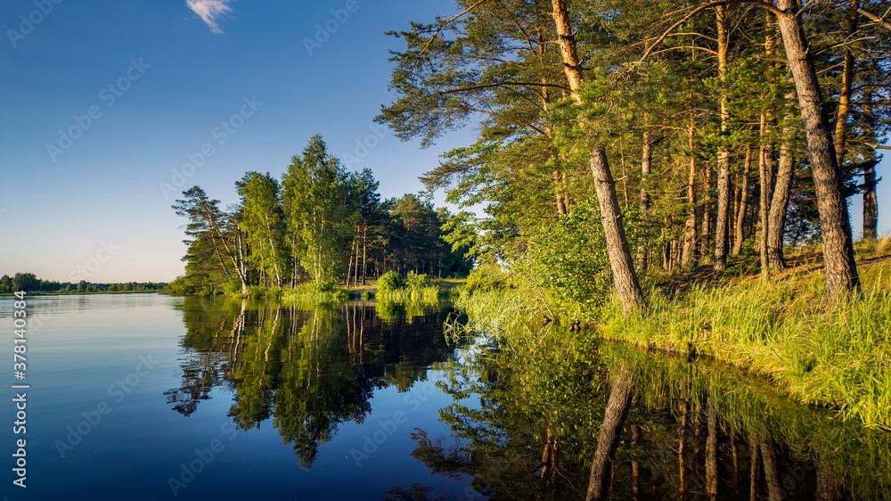 The coastal forest is reflected in the mirror of the water.