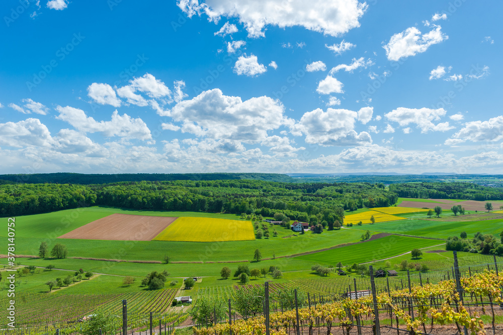 Fototapeta premium Agricultural landscape near Oberderdingen