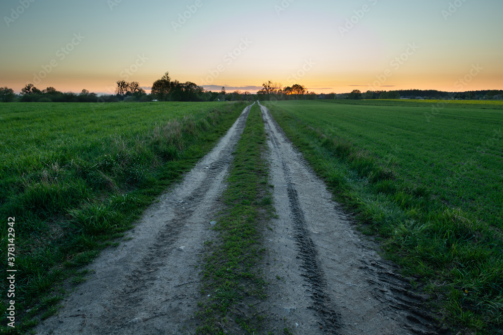 Dirt road through green fields, view after sunset